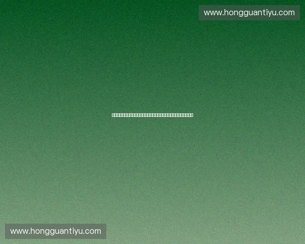 以赛事协办方视角打造多元合作共赢体育盛会新格局与城市品牌融合发展